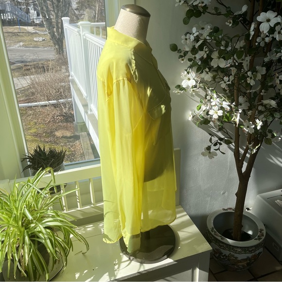 Guess Sheer Button Down Blouse with Studded Buttons, Size L - Picture 5 of 16